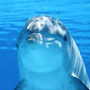 Meet your Posher, Liam